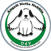 Logo Angeli nella nebbia